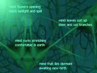 mind flowers